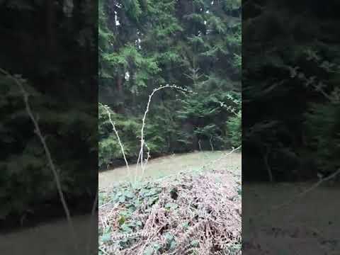 Znam da si blizu – YouTube